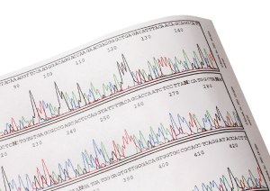 Analyze DNA sequences in your classroom! © Edvotek 2014
