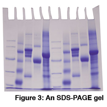 NEWS_2.19.15_Top100_Fig3