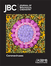 JBC_VIRTUAL_ISSUE_CORONAVIRUSES_177x299