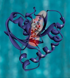 national-cancer-institute-eeEiys6TU3c-unsplash